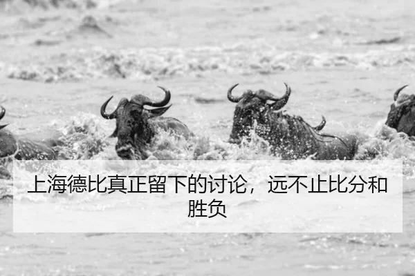 shang-hai-de-bi-zhen-zheng-liu-xia-de-tao-lun-yuan-bu-zhi-bi-fen-he-sheng-fu-2-232.jpg